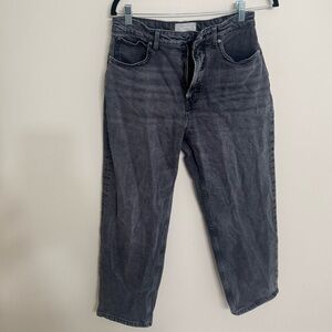 Everlane The Curvy Way High 30R Jeans